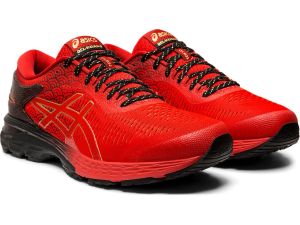 Маратонки ASICS GEL-KAYANO 25 TOKYO